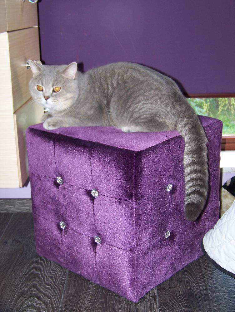 Sypialnia ubrana w fiolet, zdjęcie 4