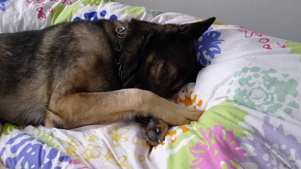 Nasza nowa sypialnia, zdjęcie 4