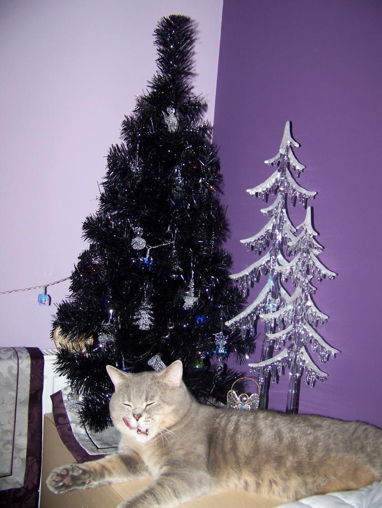 Mieszkanie w świątecznym ubraniu, zdjęcie 18