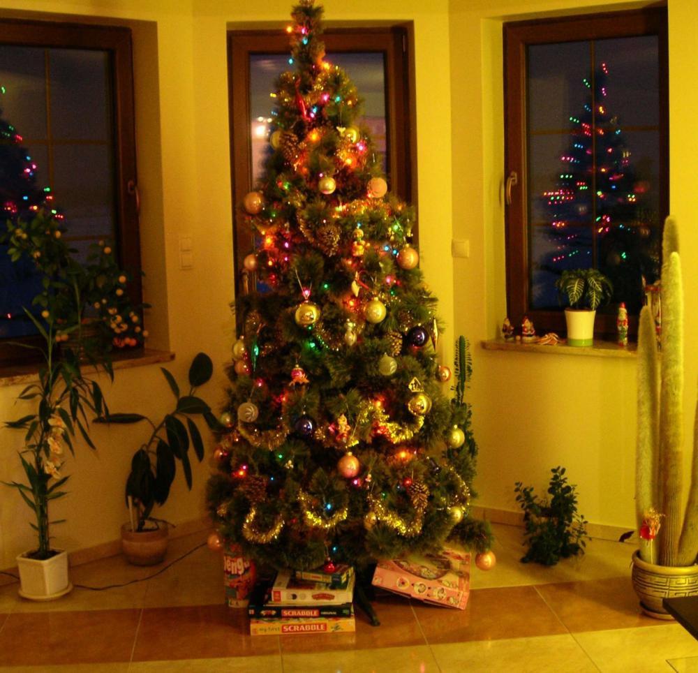 Święta w naszym domku, zdjęcie 8