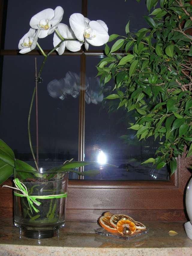 Święta w naszym domku, zdjęcie 7