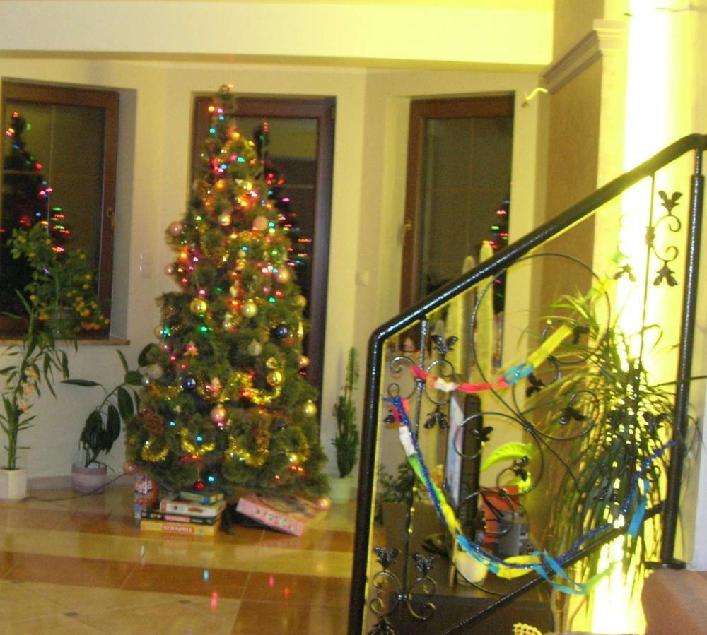 Święta w naszym domku, zdjęcie 3