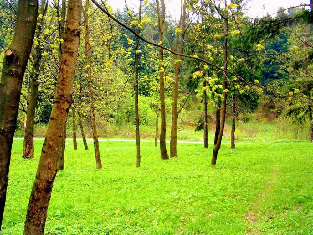 PO  PROSTU  WIOSNA, zdjęcie 7