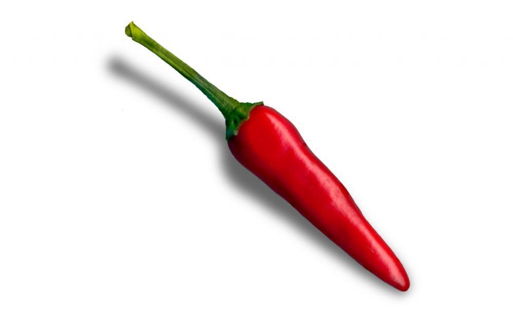 CHILLI, zdjęcie 11