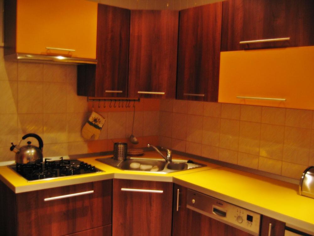 Radosny orzech, zdjęcie 2