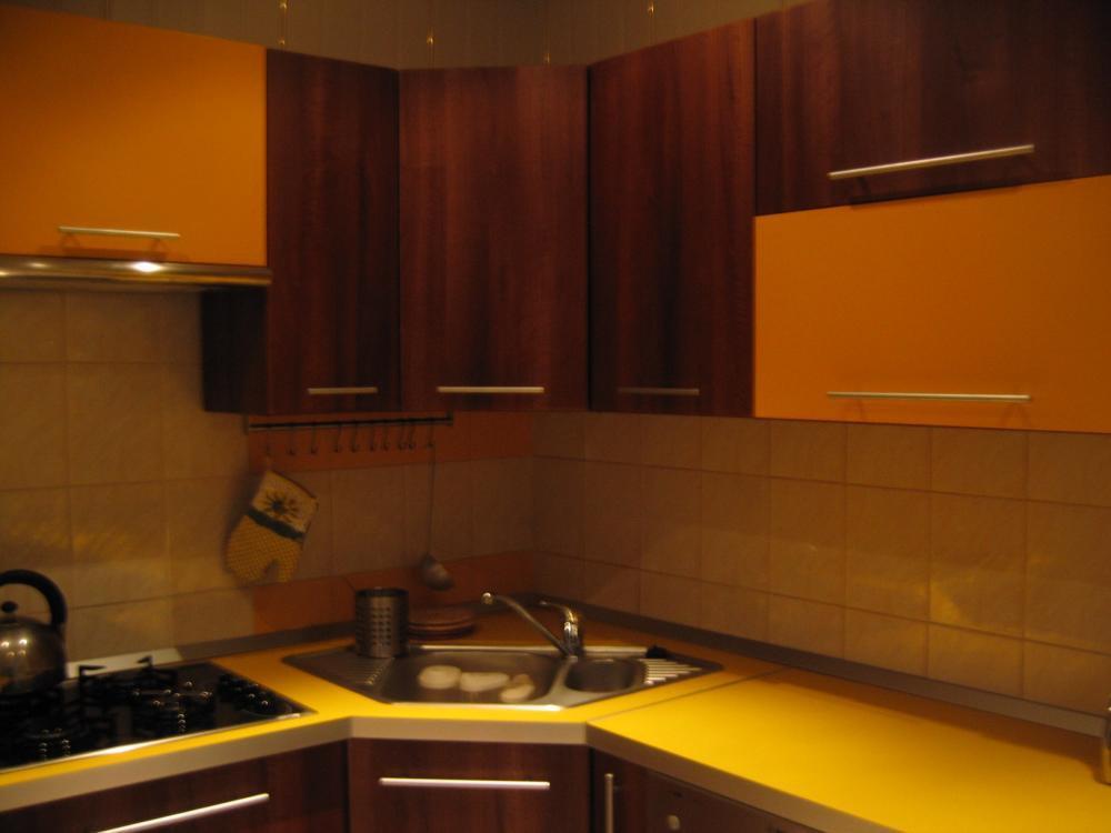 Radosny orzech, zdjęcie 5