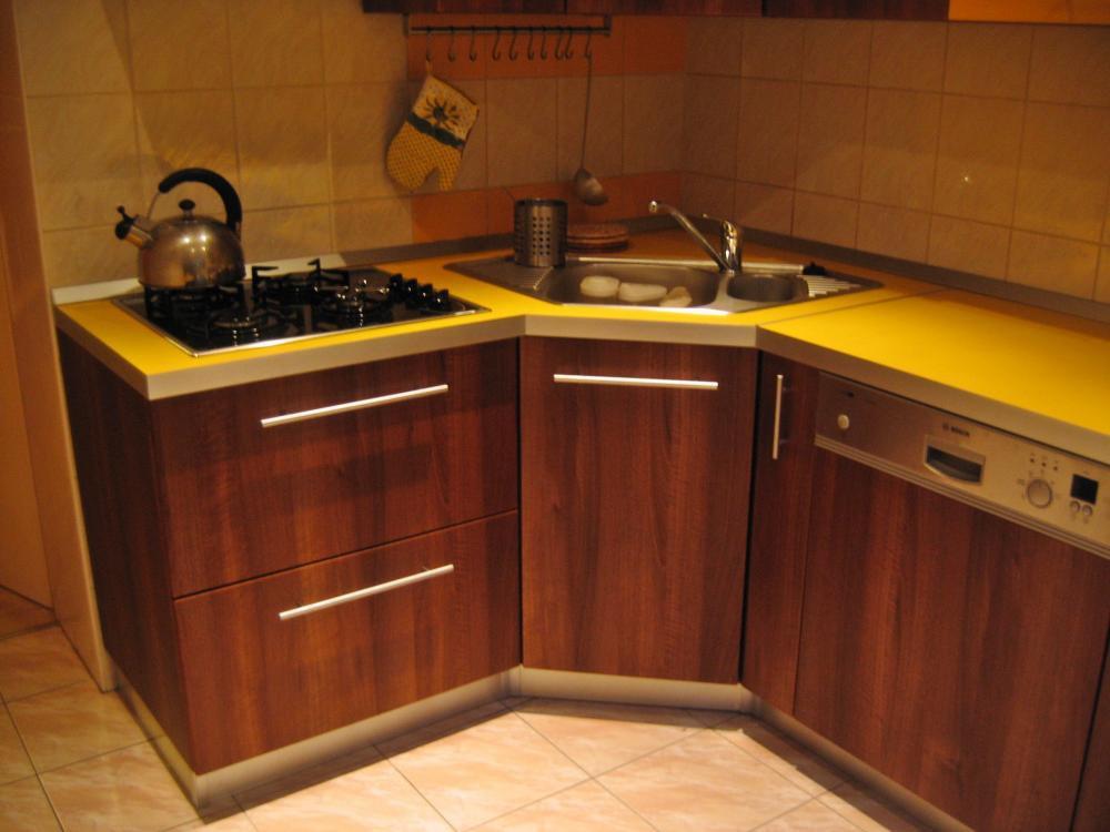 Radosny orzech, zdjęcie 1