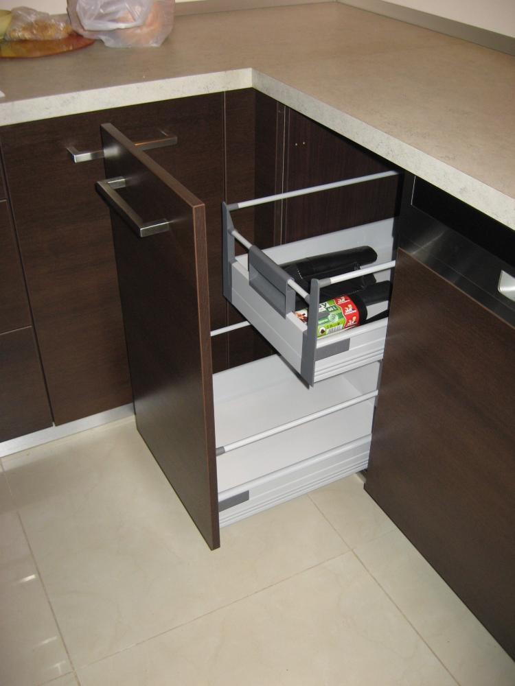 Limba czekoladowa, zdjęcie 3