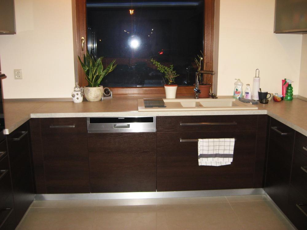 Limba czekoladowa, zdjęcie 7