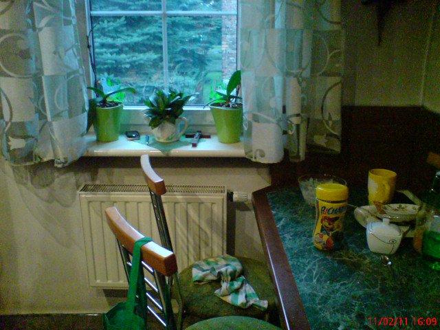 kuchnia w zieleni, zdjęcie 4