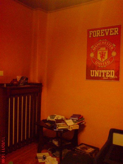 maly kibic, zdjęcie 2