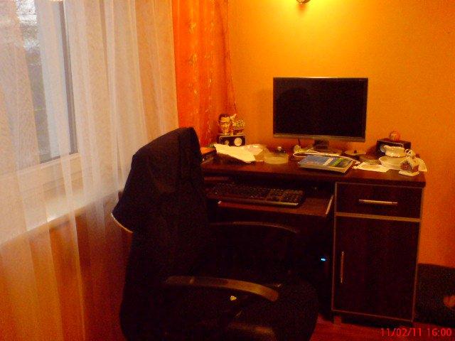 maly kibic, zdjęcie 3