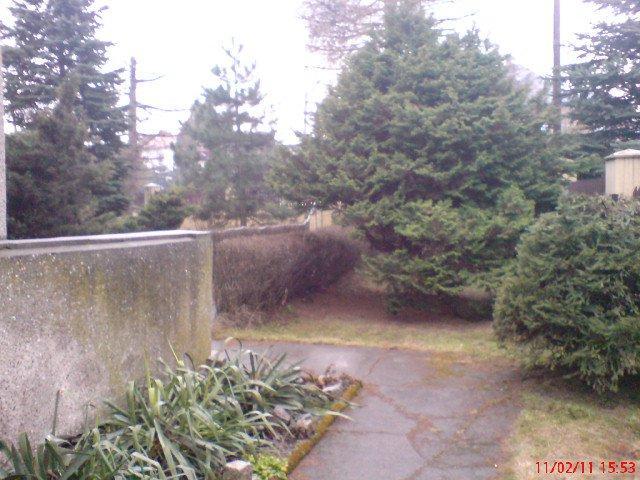 zima nie musi byc smutno, zdjęcie 3