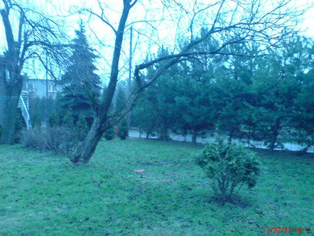 zima nie musi byc smutno, zdjęcie 1