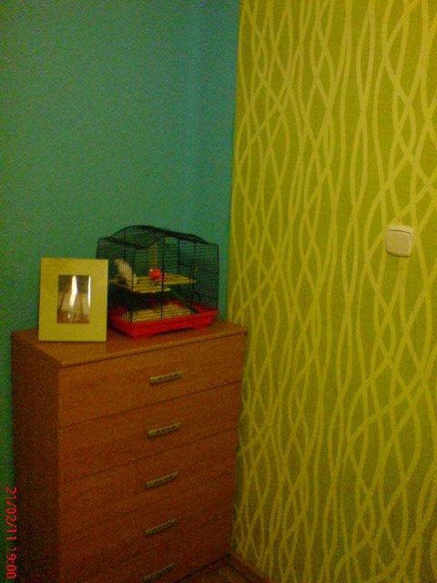 wesoly pokoj., zdjęcie 3