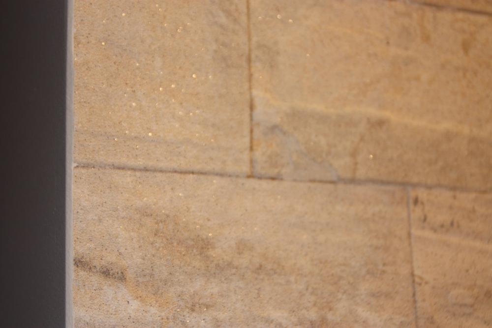 brokacik, zdjęcie 2