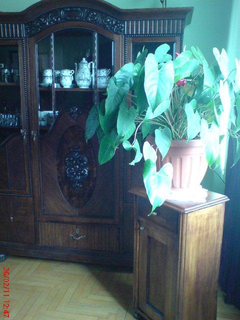 jadalnia, zdjęcie 4