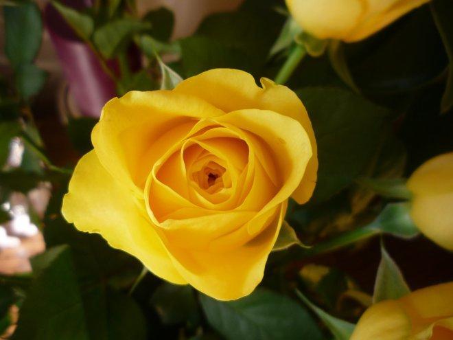 Kobiece wnętrze, zdjęcie 14