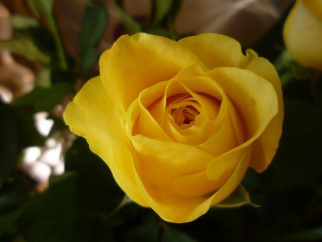 Kobiece wnętrze, zdjęcie 17