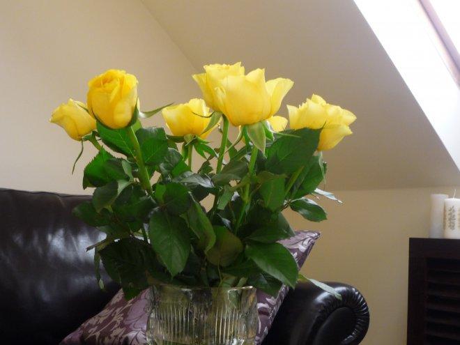 Kobiece wnętrze, zdjęcie 10