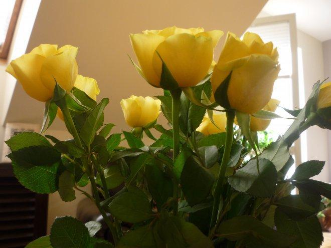 Kobiece wnętrze, zdjęcie 9