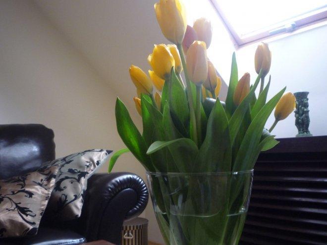 Kobiece wnętrze, zdjęcie 11