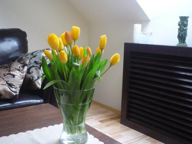 Kobiece wnętrze, zdjęcie 1