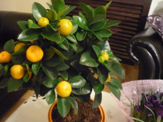 Kobiece wnętrze, zdjęcie 8