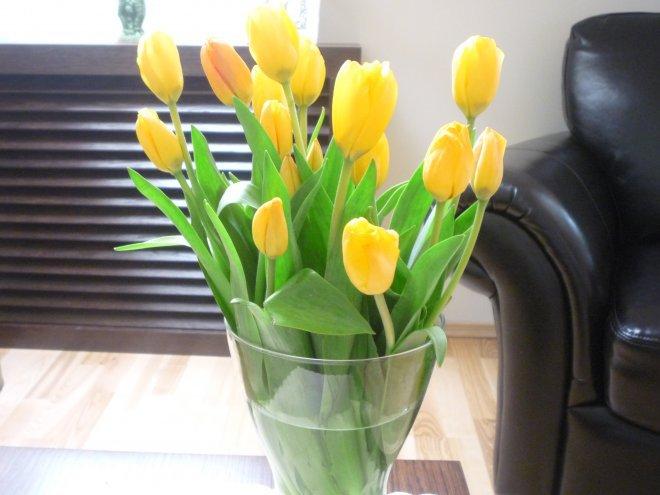 Kobiece wnętrze, zdjęcie 15