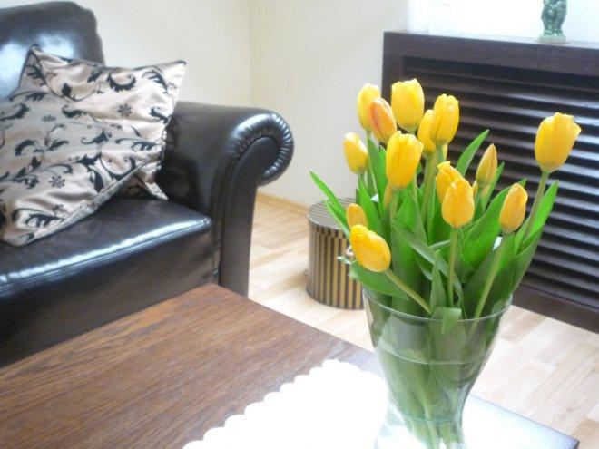 Kobiece wnętrze, zdjęcie 12