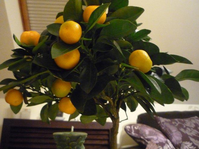 Kobiece wnętrze, zdjęcie 5