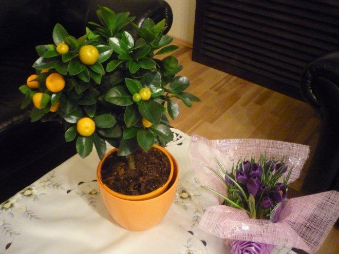 Kobiece wnętrze, zdjęcie 1