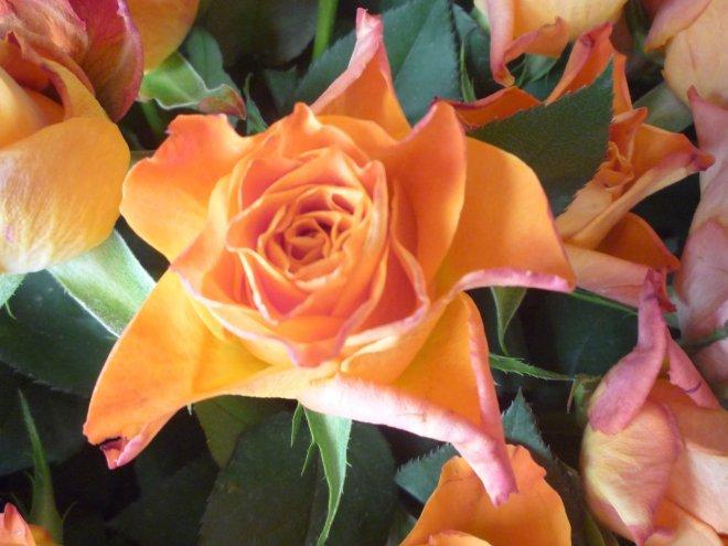 Kobiece wnętrrze, zdjęcie 18