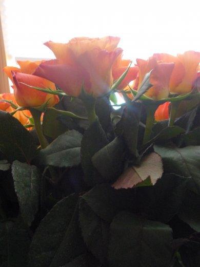 Kobiece wnętrrze, zdjęcie 16