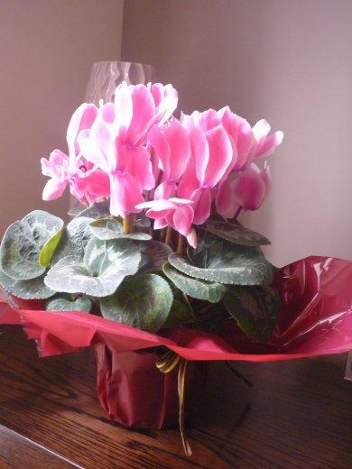 Kobiece wnętrze, zdjęcie 12