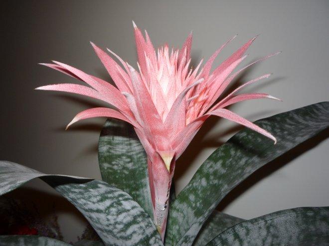 Kobiece wnętrze, zdjęcie 9