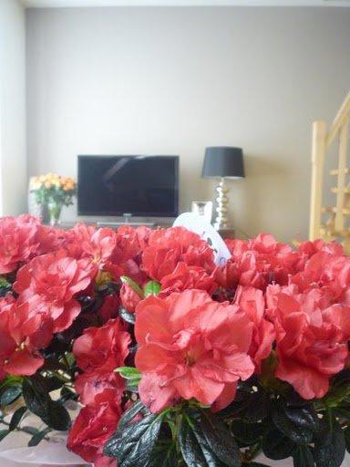 Kobiece wnętrze, zdjęcie 1