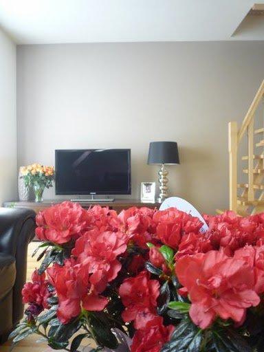 Kobiece wnętrze, zdjęcie 3