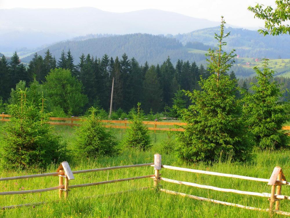 Chata na Śliwkówce, zdjęcie 14