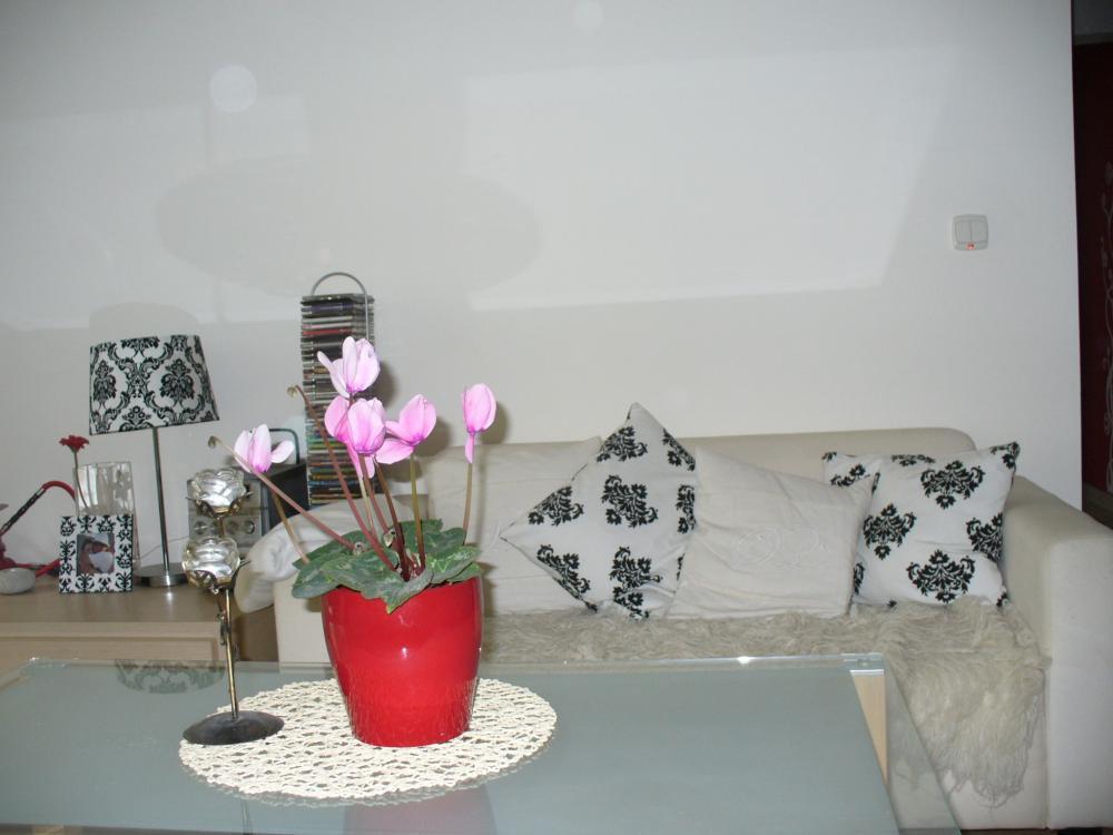 fiołkowy salon, zdjęcie 1