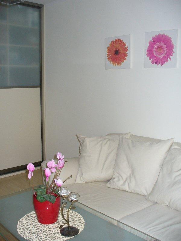 fiołkowy salon, zdjęcie 3