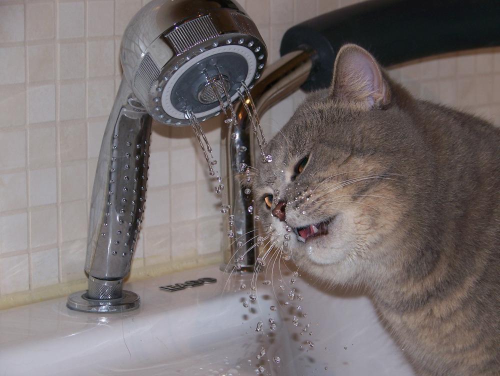 moje miejsce relaksu, zdjęcie 6