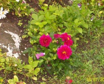 lato.. wróć... , zdjęcie 3