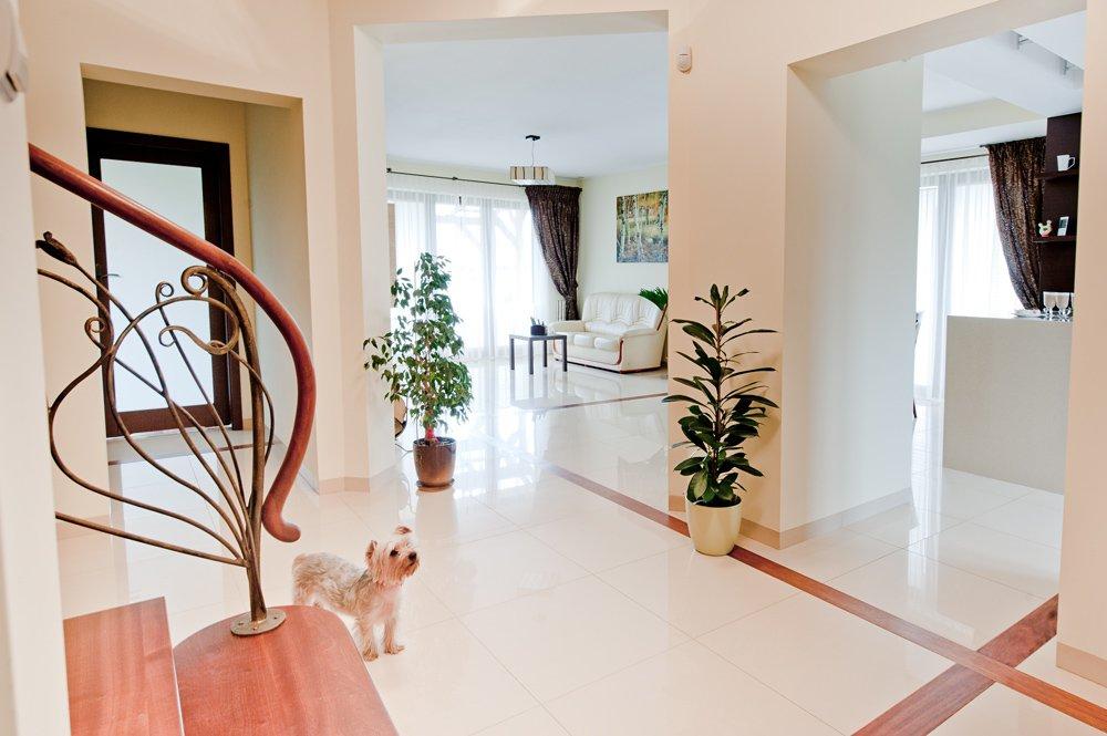 Kolory w moim domu, zdjęcie 2