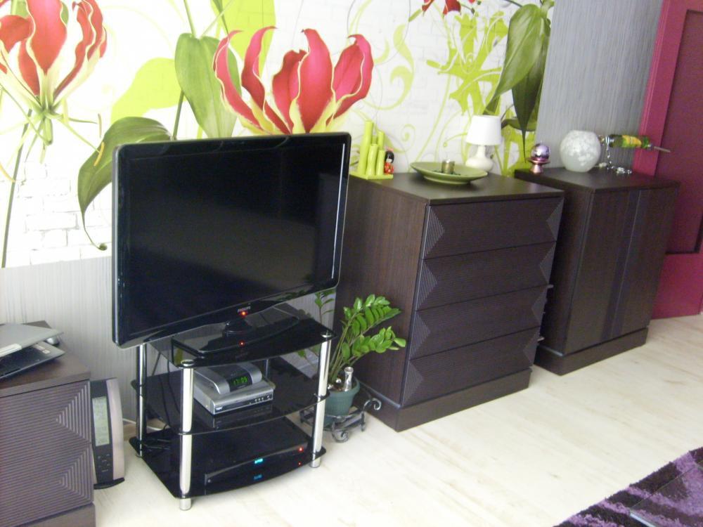 fiolet i szary, zdjęcie 2