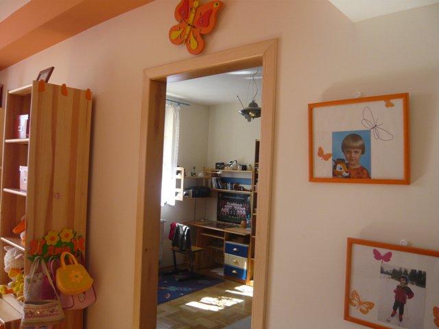 Kochamy motyle, zdjęcie 4