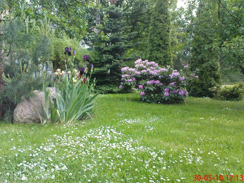 To też maj w ogrodzie, zdjęcie 2