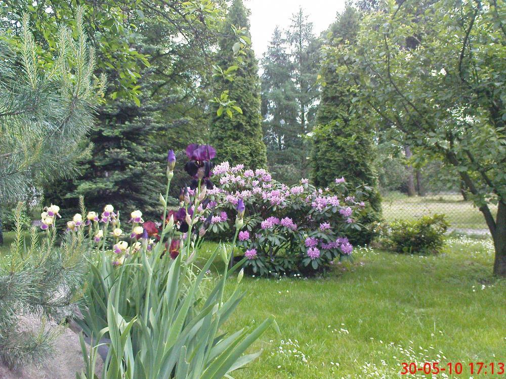 To też maj w ogrodzie, zdjęcie 5