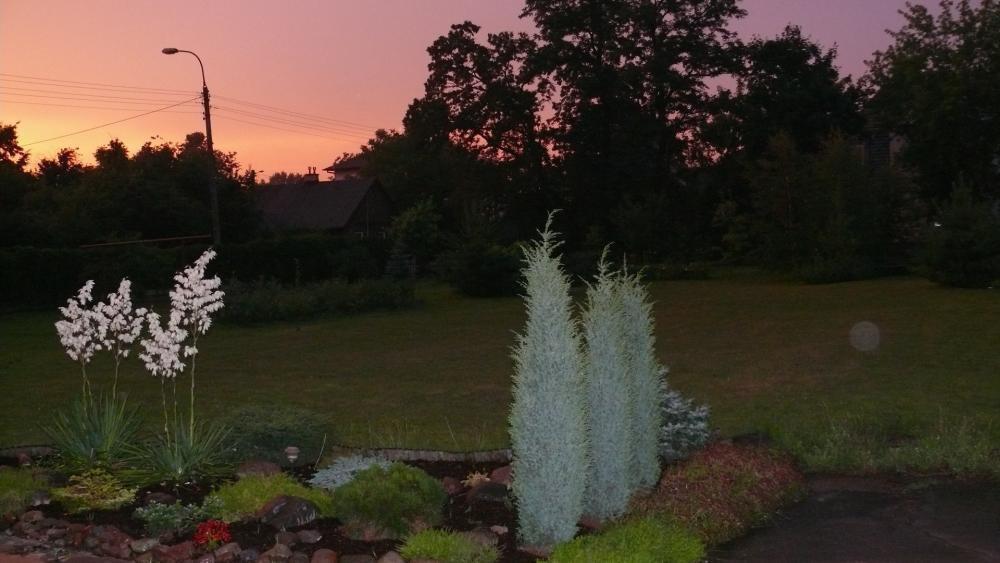 lato w ogrodzie, zdjęcie 3