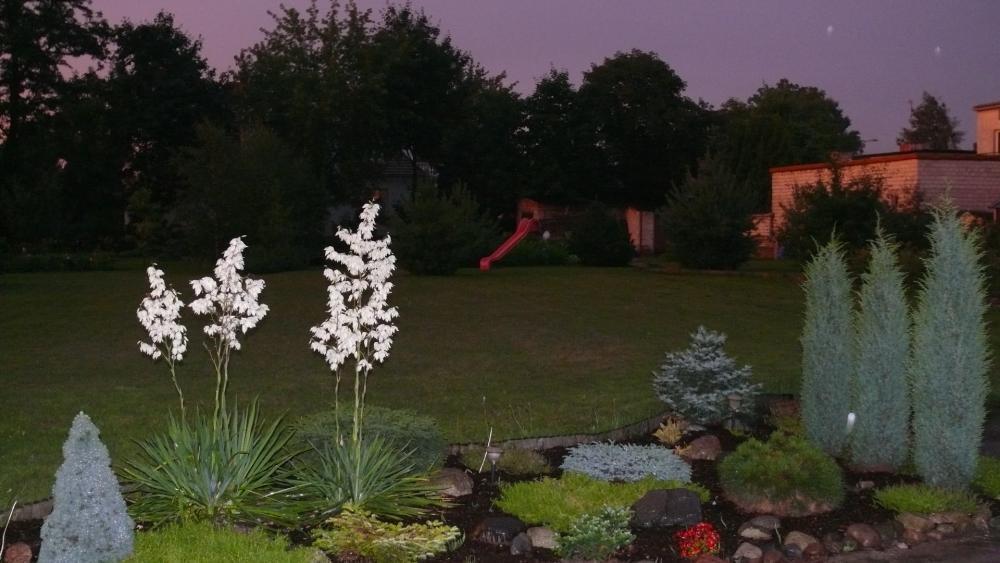 lato w ogrodzie, zdjęcie 6